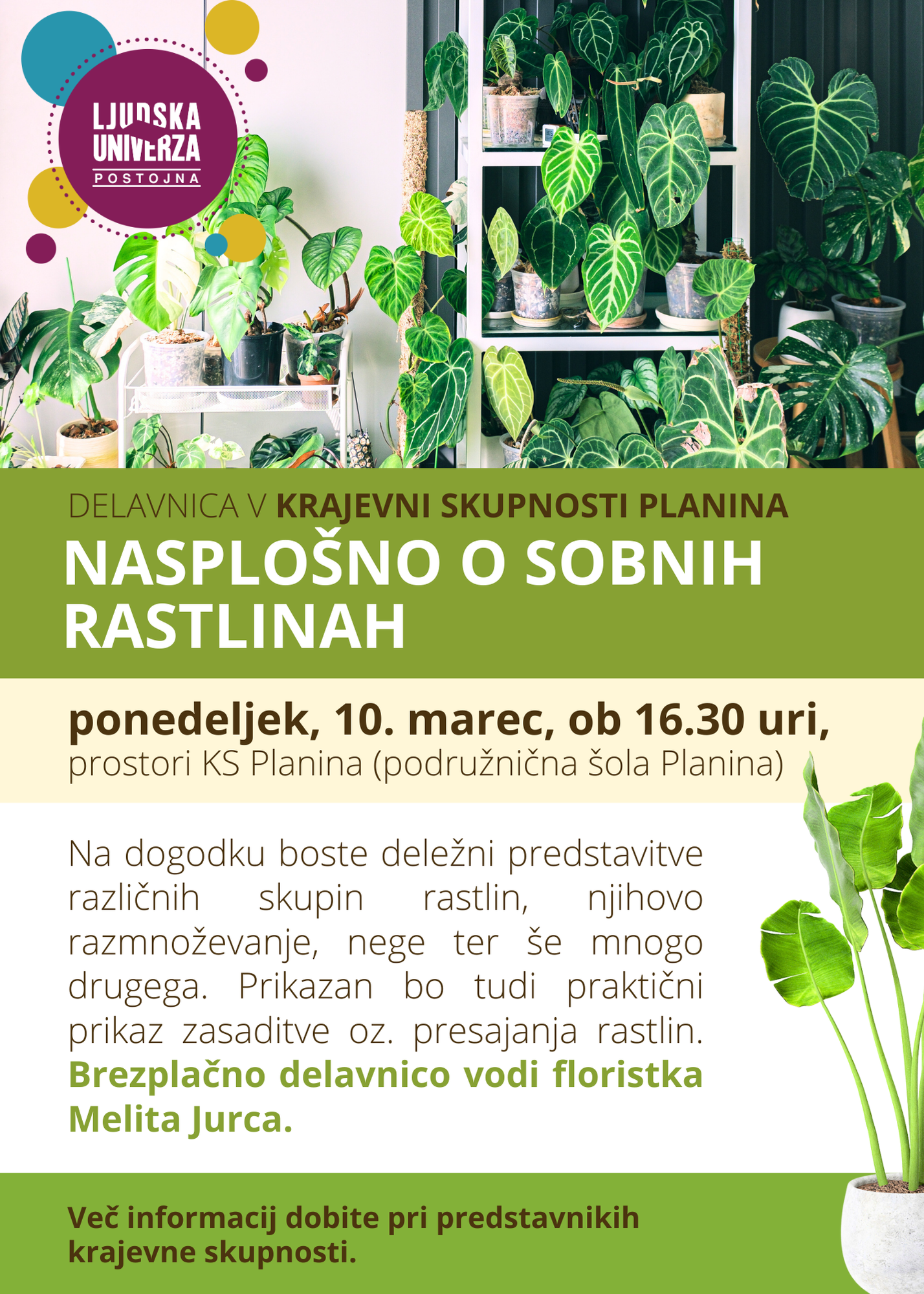 nasplošno o rastlinah _ planina